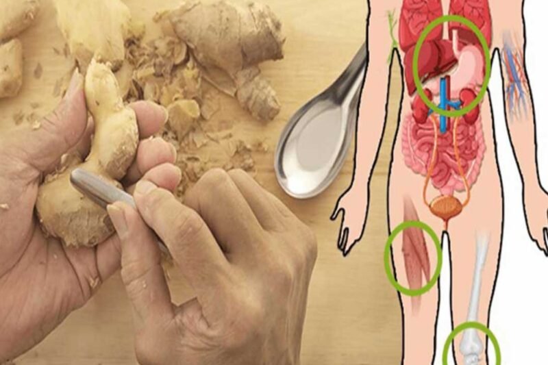 Natural treatment for irritable bowel syndrome (IBS)