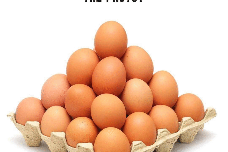 How many eggs are there in the picture? Look carefully before answering.