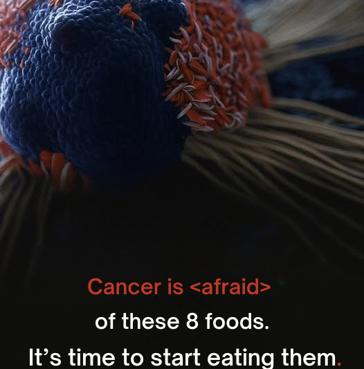 Cancer is ‘afraid’ of these 8 foods.
